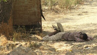 Heat deaths India