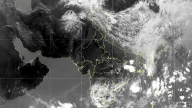 rain forecast Punjab Haryana Chandigarh