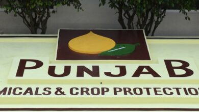 Punjab chemicals