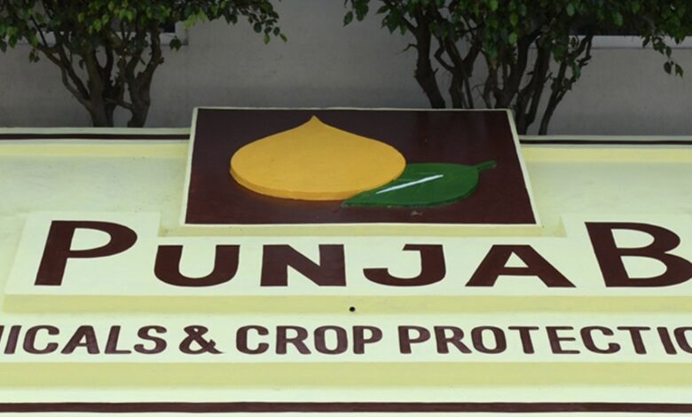 Punjab chemicals