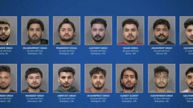 17 Punjab-Origin Youth Held