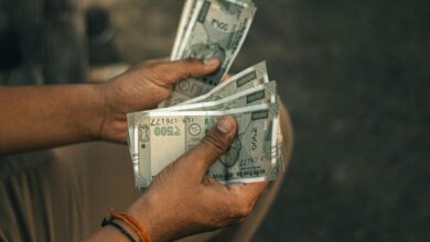 PPF investment