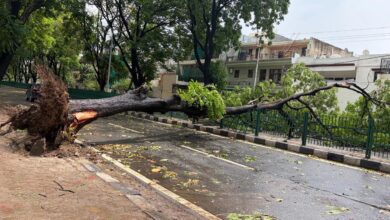 Punjab weather