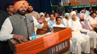 Punjab bjp president