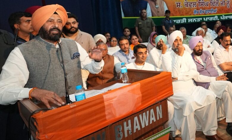 Punjab bjp president