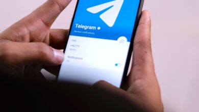 Why was Telegram Banned