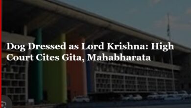 Dog Dressed as Krishna: High Court Cites Gita, Mahabharata