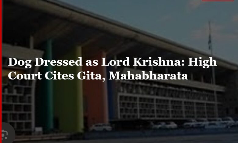 Dog Dressed as Krishna: High Court Cites Gita, Mahabharata