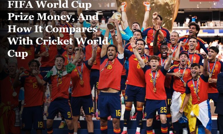 FIFA World Cup prize money