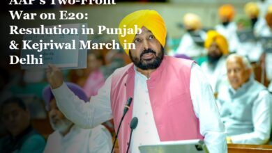 Punjab Assembly E20 Resolution