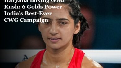 Haryana Boxing Gold Rush