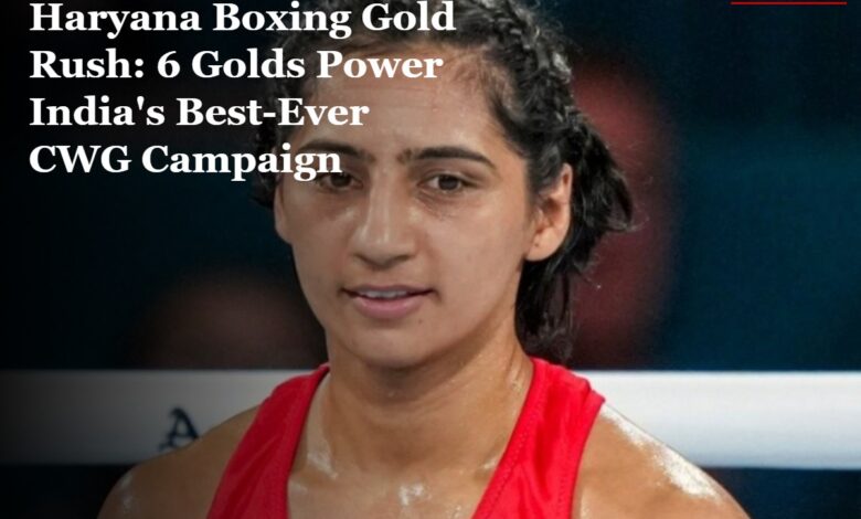 Haryana Boxing Gold Rush
