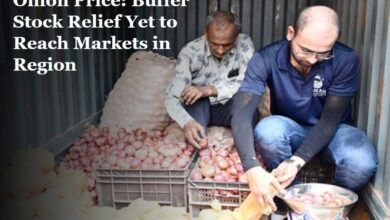 Onion Price Chandigarh