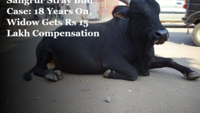 Sangrur Stray Bull Case