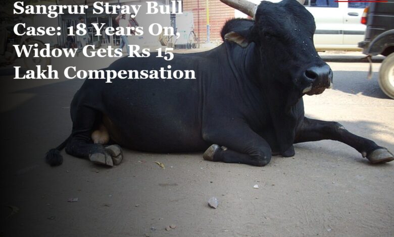 Sangrur Stray Bull Case