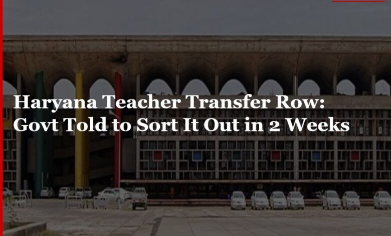 Haryana Teacher Transfer Row: Court Tells Govt to Sort It Out in 2 Weeks