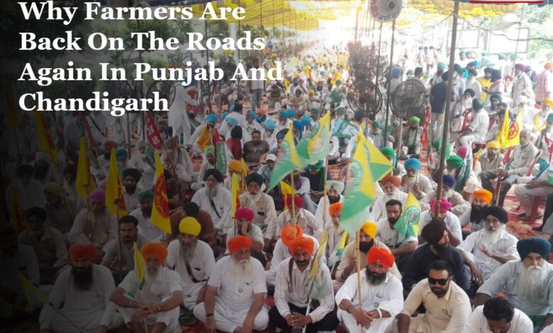 farmers protest punjab