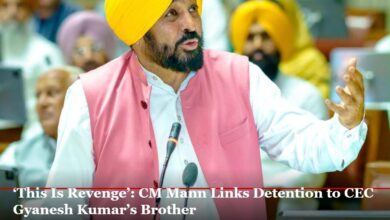 Bhagwant Mann Airport Detention